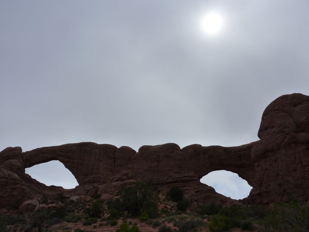 Arches Windows Arches (20).JPG